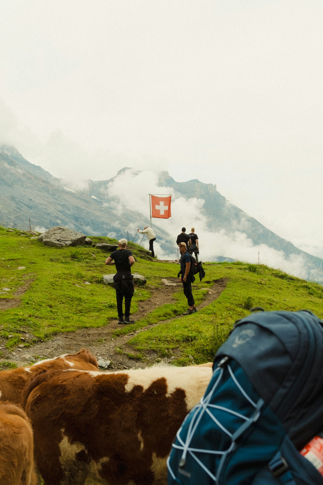 Randonneurs avec un drapeau suisse sur un sentier de campagne