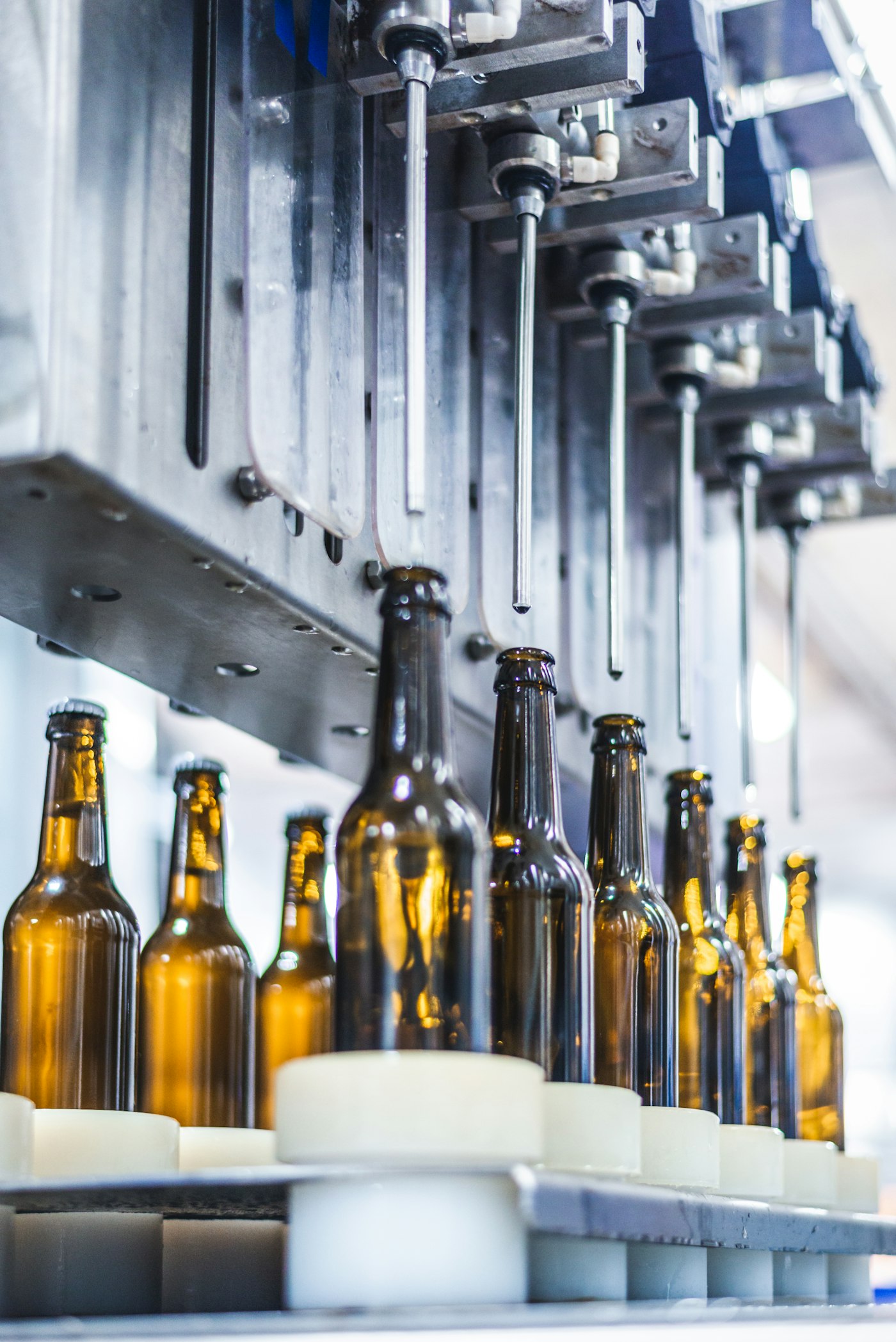 Bouteilles de bières artisanales sur une table