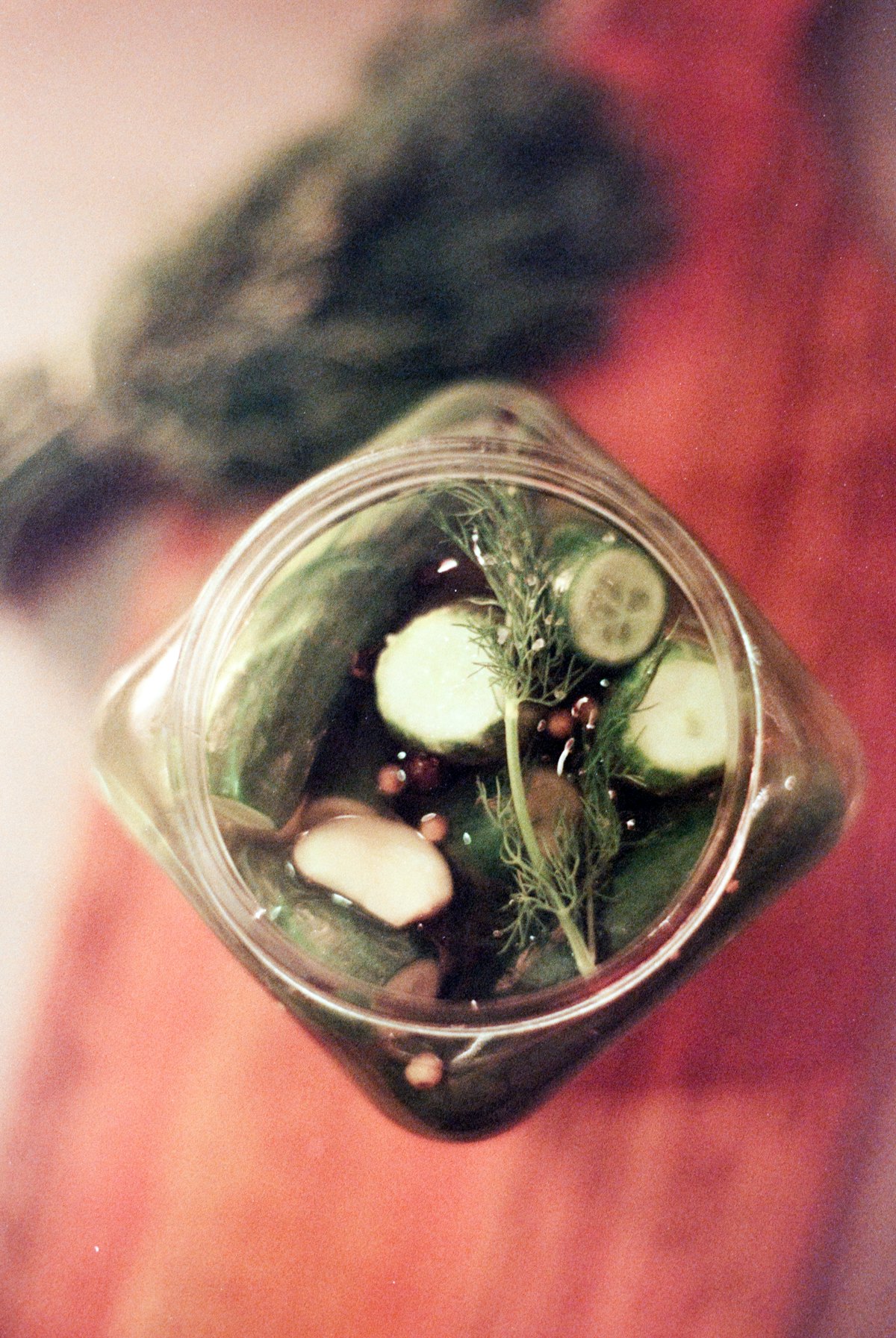 Bocal de cornichons